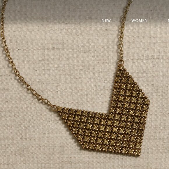 Banana Republic Factory Fluid V-Shaped Necklace Aureus + Argent - Picture 3 of 10